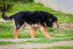 phoca_thumb_l_IMG_7053_resize