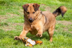 phoca_thumb_l_IMG_7067_resize