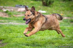 phoca_thumb_l_IMG_7092_resize