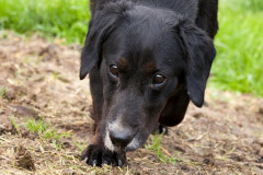 phoca_thumb_l_IMG_7101_resize