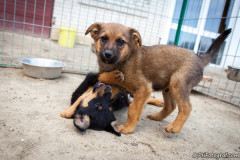phoca_thumb_l_IMG_7120_resize