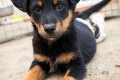 phoca_thumb_l_IMG_7123_resize