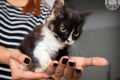 phoca_thumb_l_IMG_9731_resize
