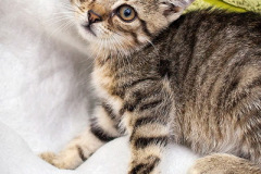 phoca_thumb_l_IMG_9753_resize