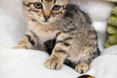 phoca_thumb_l_IMG_9754_resize