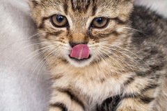 phoca_thumb_l_IMG_9756_resize