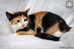 phoca_thumb_l_IMG_9794_resize