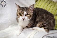 phoca_thumb_l_IMG_9829_resize