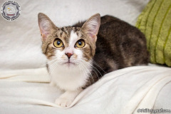 phoca_thumb_l_IMG_9833_resize