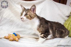 phoca_thumb_l_IMG_9837_resize