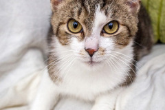 phoca_thumb_l_IMG_9840_resize