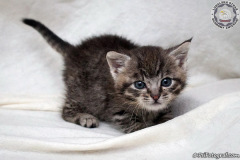 phoca_thumb_l_IMG_9857_resize