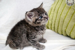 phoca_thumb_l_IMG_9866_resize