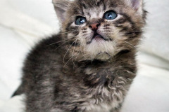 phoca_thumb_l_IMG_9869_resize