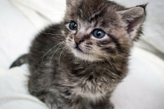 phoca_thumb_l_IMG_9870_resize