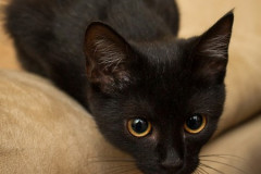 phoca_thumb_l_IMG_2566_resize