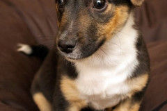 phoca_thumb_l_IMG_2598_resize