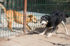 phoca_thumb_l_IMG_5810_resize