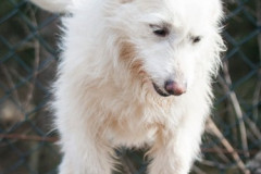 phoca_thumb_l_IMG_5827_resize