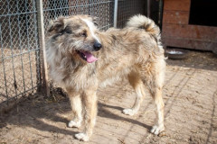 phoca_thumb_l_IMG_5842_resize