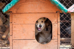 phoca_thumb_l_IMG_5849_resize