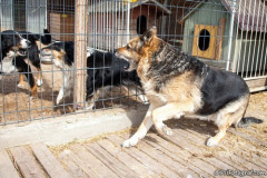 phoca_thumb_l_IMG_5851_resize