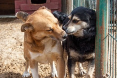phoca_thumb_l_IMG_5862_resize