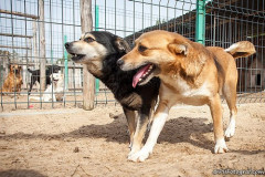 phoca_thumb_l_IMG_5872_resize