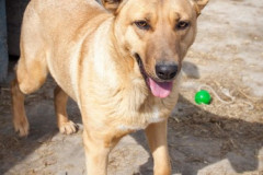 phoca_thumb_l_IMG_5881_resize