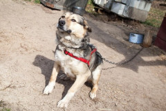 phoca_thumb_l_IMG_5890_resize