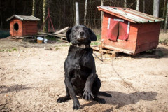 phoca_thumb_l_IMG_5900_resize
