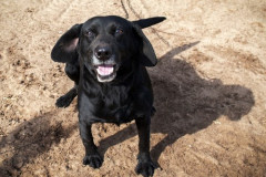 phoca_thumb_l_IMG_5906_resize