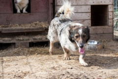 phoca_thumb_l_IMG_5912_resize