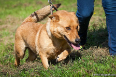 phoca_thumb_l_IMG_0149_resize