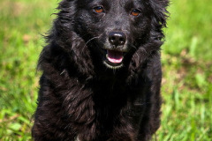 phoca_thumb_l_IMG_0373_resize