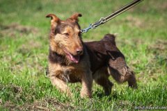 phoca_thumb_l_IMG_0441_resize