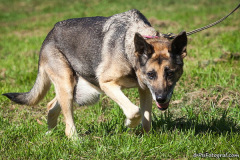 phoca_thumb_l_IMG_0634_resize