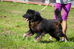 phoca_thumb_l_IMG_0666_resize