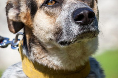 phoca_thumb_l_IMG_0675_resize