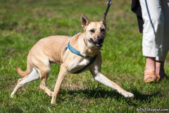 phoca_thumb_l_IMG_0846_resize