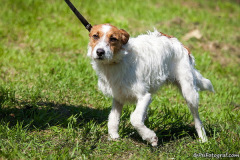 phoca_thumb_l_IMG_0880_resize