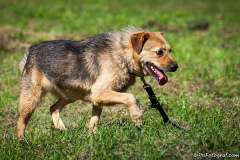 phoca_thumb_l_IMG_0900_resize