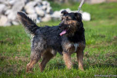 phoca_thumb_l_IMG_0941_resize