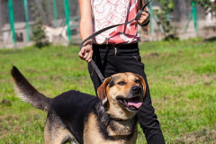 phoca_thumb_l_IMG_0978_resize