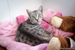 phoca_thumb_l_IMG_1182_resize