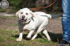 phoca_thumb_l_IMG_5985_resize