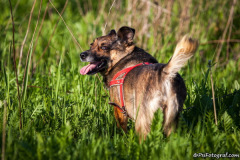 phoca_thumb_l_IMG_5952_resize