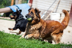 phoca_thumb_l_IMG_7760_resize