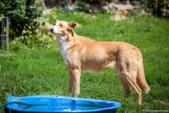 phoca_thumb_l_IMG_7843_resize