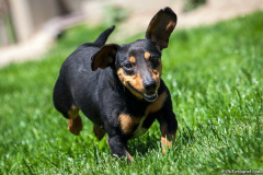 phoca_thumb_l_IMG_8057_resize
